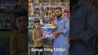 1foot Setup🔥#viral#ytshorts#trending#aquariumfish#fishtank#fish #aquarium #1futfishtanktrendingsongs