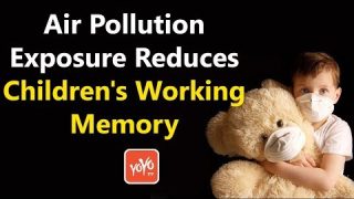 Air Pollution Exposure Reduces Children's Working Memory | YOYO Times