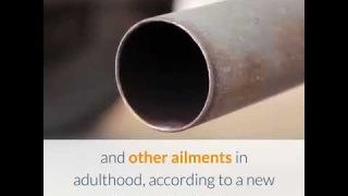 air pollution puts children at higher risk of disease in adulthood