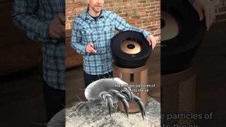 Can an air purifier reduce allergies?