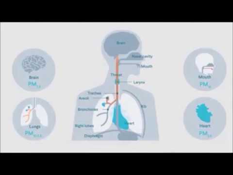 dr talking about pollution to air for children