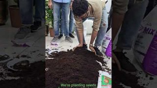 🌱 Green Office Initiative: Growing Together! 🌿