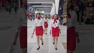 Frankfinn's In-Flight Familiarization Program with 'Air India'