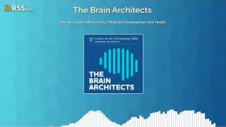 How Air Quality Affects Early Childhood Development and Health