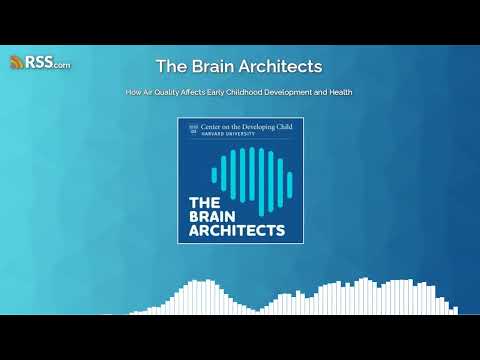 How Air Quality Affects Early Childhood Development and Health