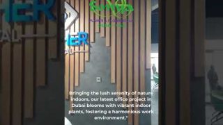 Indoor Plants at an office premise.