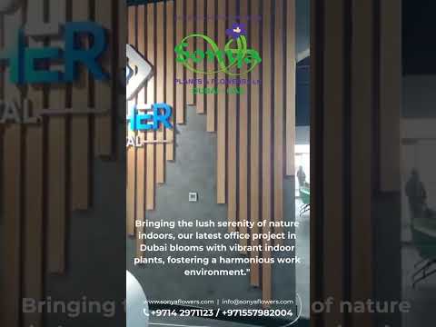 Indoor Plants at an office premise.