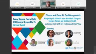 Mitigating air pollution from household energy to improve women and children's health (webinar)