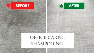 Office Carpet Shampooing Dubai | Office Carpet Cleaning Dubai #carpetcleaning