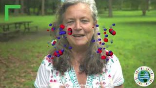 On the Air: Educating Children about Air Quality and Climate Change