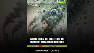 Study Links Air Pollution to Cognitive Impacts in Children #newsontime #airpollution