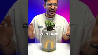 This Affordable Air Purifier Works With A Plant! 🌱