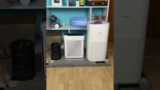 What is the best location for an air purifier in a large room? #airpurifier #shorts