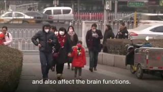 WHO chief  Air pollution link to 600,000 deaths in children