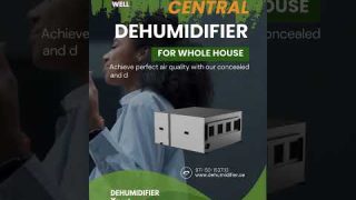 Whole-Home Comfort: Central Dehumidifiers for Perfect Humidity Control.